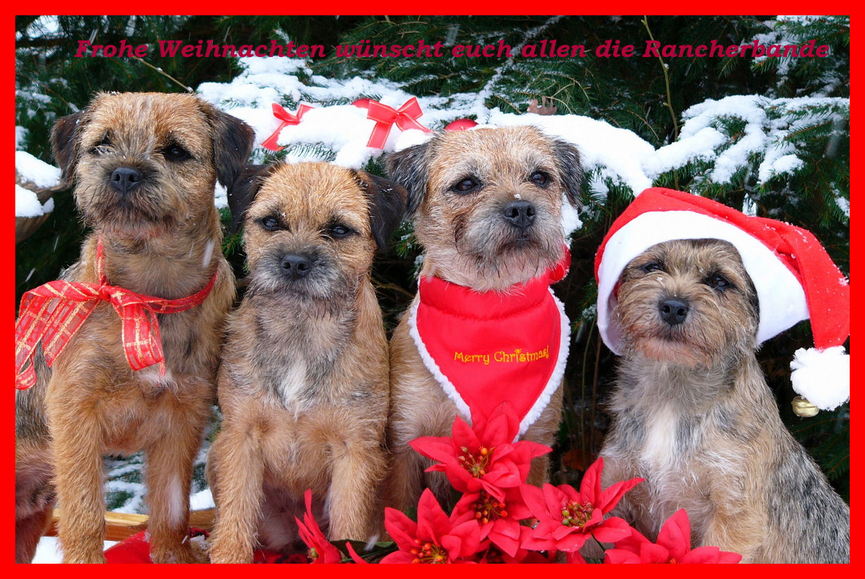 p1140558-1weihnachten2010xx.jpg